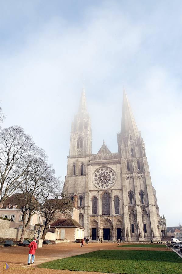 Nom de l'image : D1107468-nef-01_(c)Norbert-JUNG — Description :